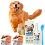 Crema Calmante para Perros: Alivio Natural del Estrés